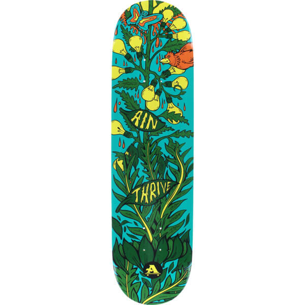 All I Need Skateboards Thrive Skateboard Deck  8.1 x 32  Warehouse Skateboards