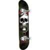 Powell Peralta Skull and Snake Black / Green Complete Skateboard - 8.25" x 31.95"