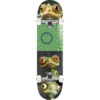 Push Skateboards Gecko Green Complete Skateboard - 8" x 31.6"