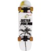 Sector 9 Ninety Five Coil Cruiser Complete Skateboard - 8.75" x 30.5"