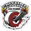 Spitfire Wheels Medium Burnout Skate Sticker