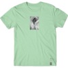 Girl Skateboards Bjork Mint Men's Short Sleeve T-Shirt - Small