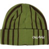 Quasi Skateboards Blender Iguana Green Beanie Hat - One size fits most