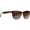 Nectar Chucktown Brown Tortoise / Amber Sunglasses