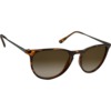 Nectar Shockoe Brown Tortoise Sunglasses